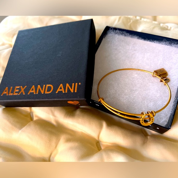Alex and Ani lucky charm horse shoe bracelet, "Rafaelian Gold®", Nickel-free. - Picture 4 of 6